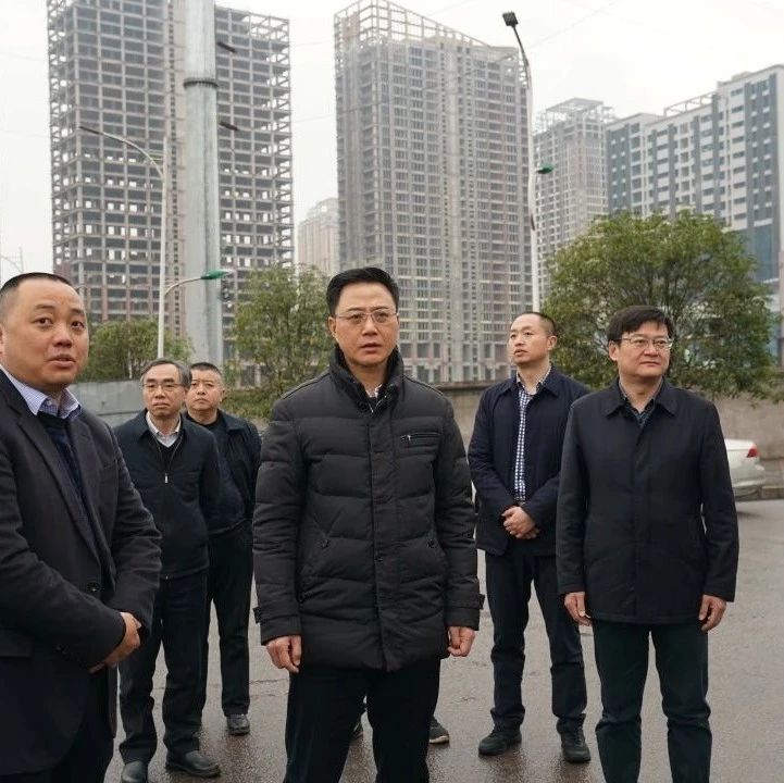 余先河帶隊(duì)督導(dǎo)大氣污染防治工作