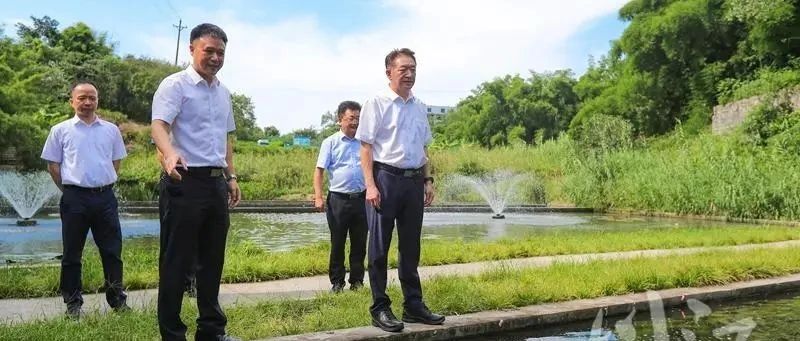 楊林興帶隊(duì)赴龍馬潭區(qū)調(diào)研督導(dǎo)學(xué)習(xí)宣傳貫徹習(xí)近平總書記來(lái)川視察重要指示精神工作
