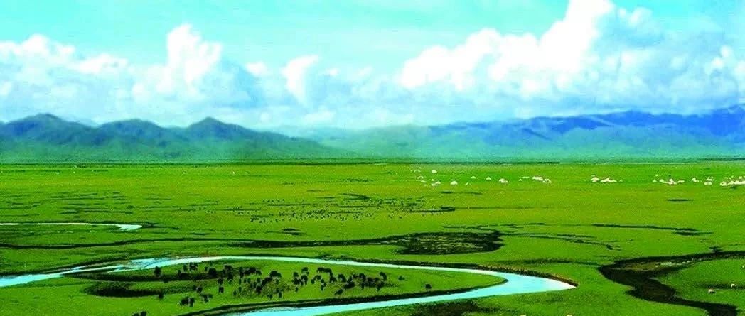 兩會環(huán)保之聲丨滿懷信心闊步走在新征程上——全國兩會前夕訪代表委員（人民日報）